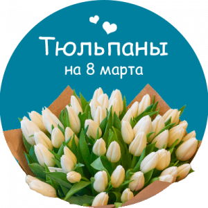Купить тюльпаны в Черемхово